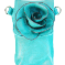 Flower Phone Case - Turquise Blue
